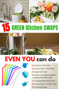 15 Green, Sustainable Kitchen Swaps that even you can make