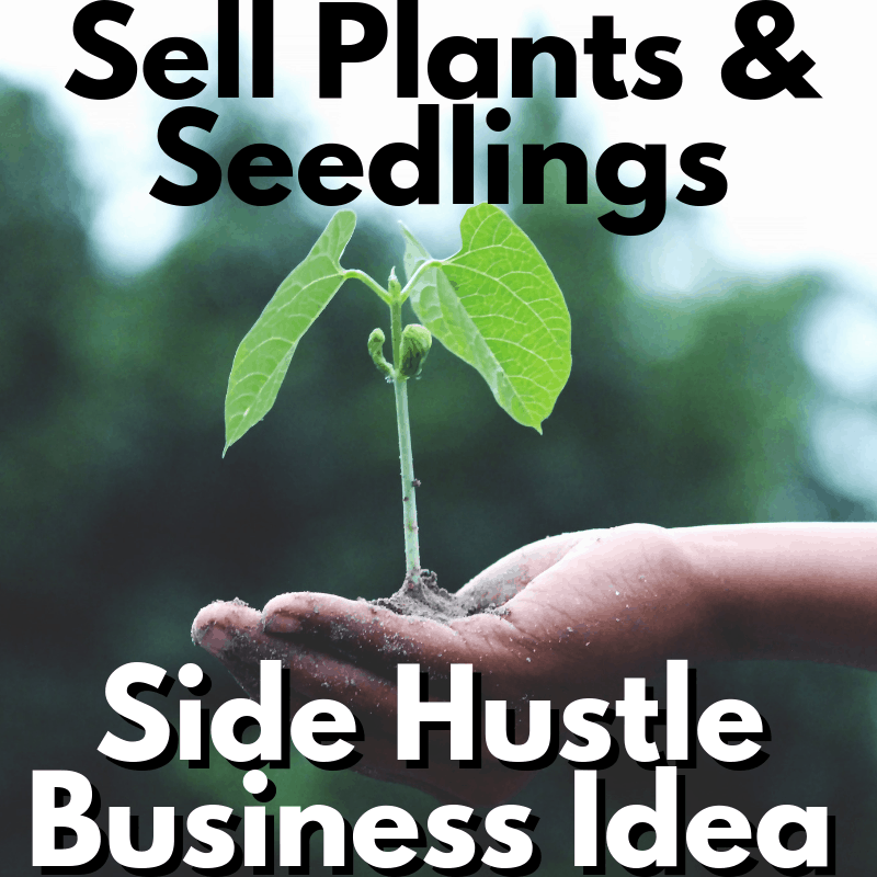 Best Side hustle business ideas