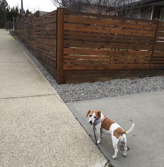 Privacy Fence Ideas - horizontal wooden boards of various widths to help make the fence look better.