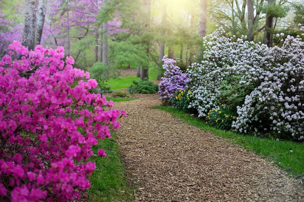 A mulch walkway is a front yard walkway ideas budget option
