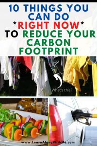 reduce your carbon footprint - 10 ways to do it starting right now