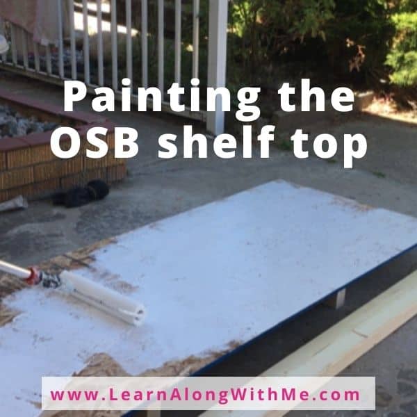 I wanted the shelves to look a little better so I painted the OSB shelf white