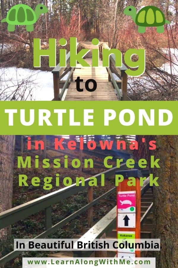 Hiking to Turtle Pond in Kelown'a Missoin Creek Regional Park