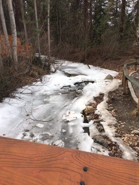 Kokanee Spawning channel in mission creek regional park in kelowna in the month of March