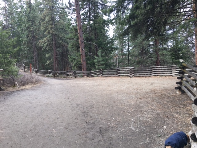 Top of the stairs on the route to Turtle Pond in Mission Creek Regional Park