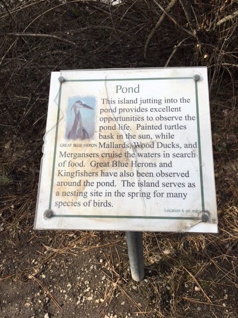 Information plaque for Turtle Pond in Mission Creek Regional Park in Kelowna stating that you may be able to see painted turtles there.