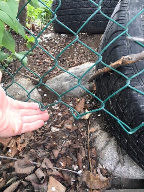 how to stop a dog from going under the fence