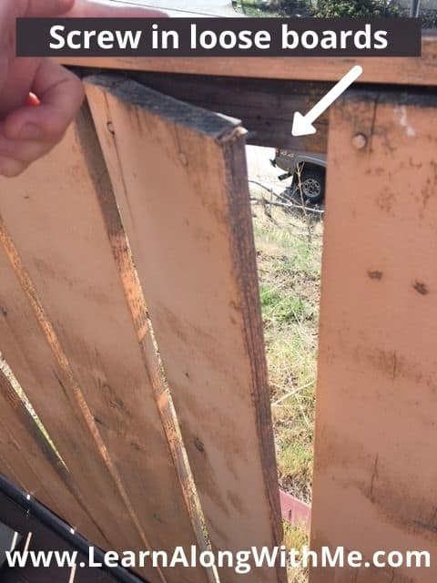 Fence boards that are attached with nails can loosen and pull out over time. You can improve the look of your fence by screwing loose boards back in.