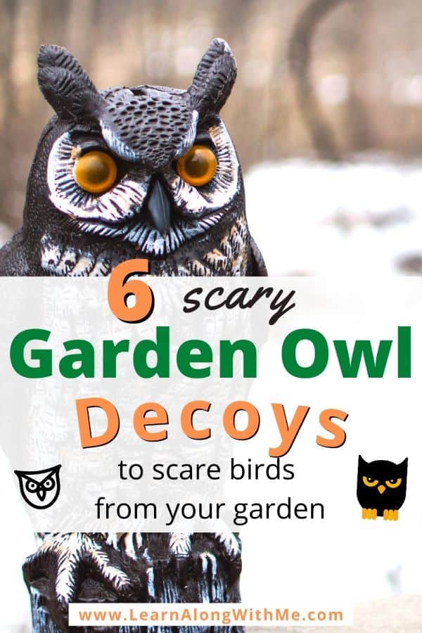 Garden Owl Decoys to scare away other birds. Also address Do owl decoys work to scare off birds?