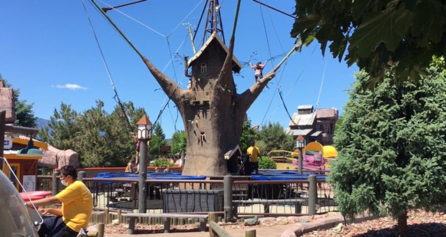 The Bungee Tree at Rattlesnake Canyon in Osoyoos BC