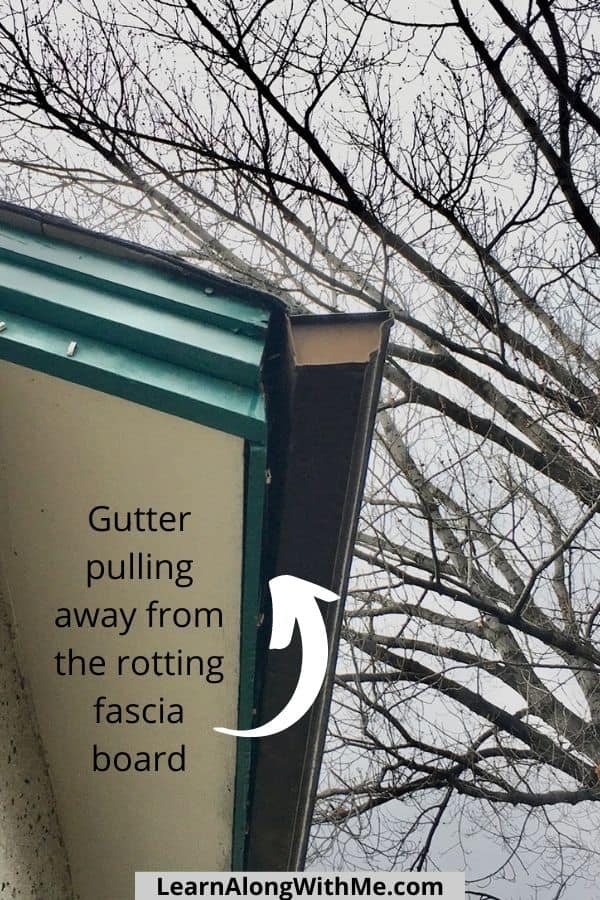 Gutter is pulling away from the rotting fascia board because the screws holding the gutter in place is pulling out of the fascia board.