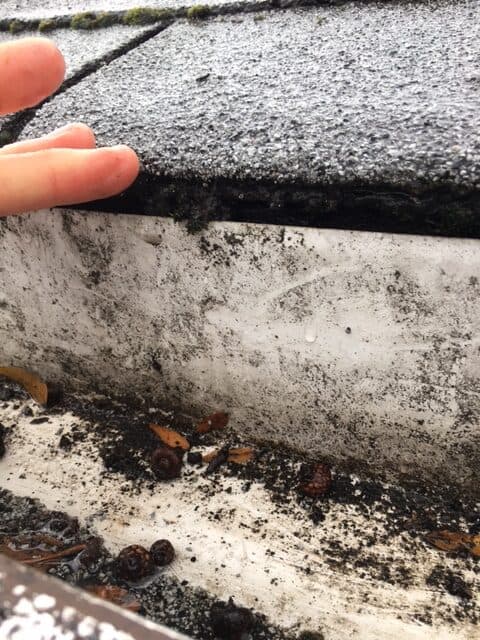 No drip edge flashing along my roof causes the rain water to be wicked via surface tension against the roof sheeting material and against the fascia board.