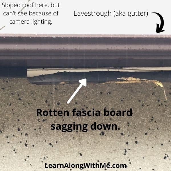 Rotten fascia board sagging down.