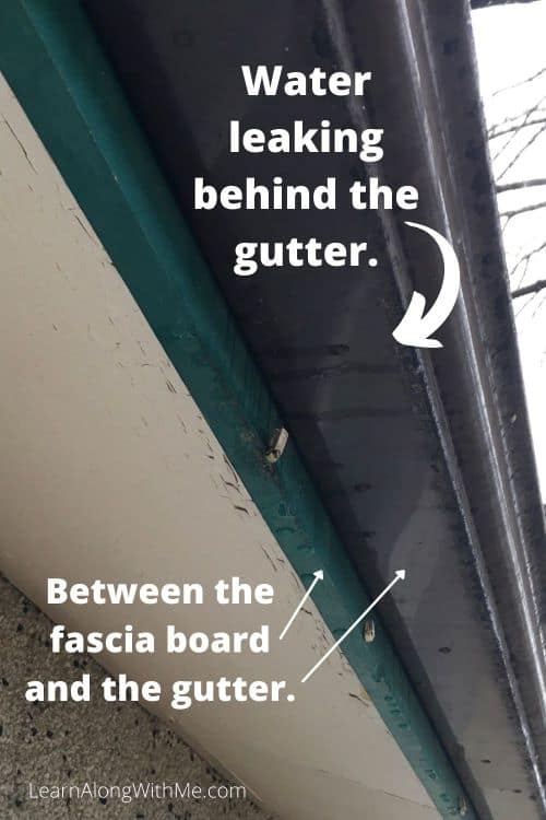 Water leaking behind the gutters...between the fascia board and the gutters. The gutters themselves weren't leaking.