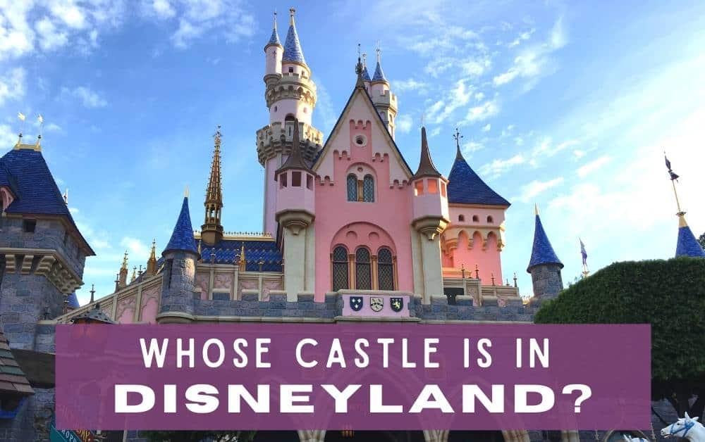 Whose castle is in Disneyland California?
