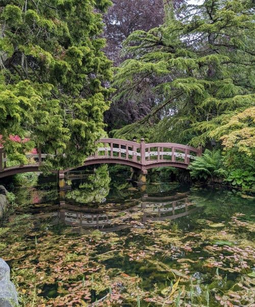 Japanese gardens at the Hatley Castle in Colwood near Victoria BC.