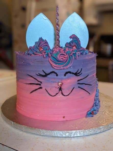 A Unicorn themed party is a fun 5 year old birthday party idea. Here is a rainbow unicorn kitty cake that a local bakery made us.