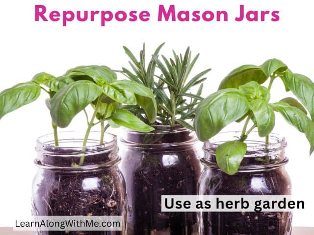 Use mason jars to as herb gardens. Grow herbs like basil and thyme inside the mason jars.