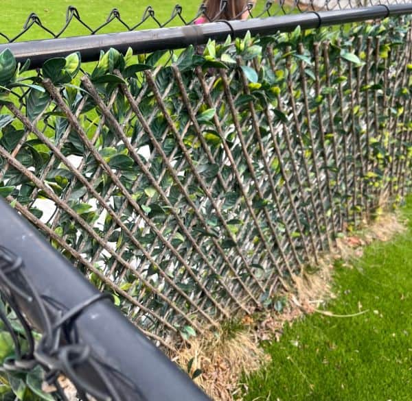 expandable faux hedge panels can work well to cover up chain link fences