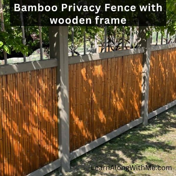 BambooPrivacyFencewithwoodenframe Learn Along with Me