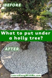 What I put under the holly tree in my front yard - what rocks I chose
