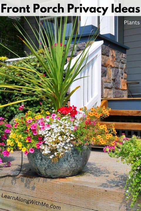 tall container plants can work well to provide privacy