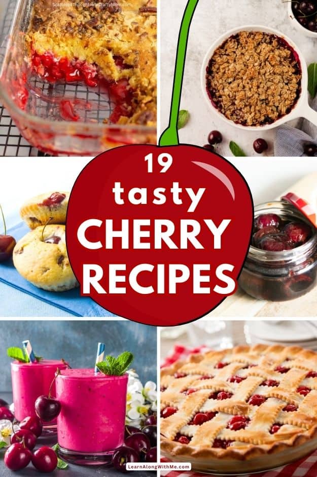 19 tasty Cherry Recipes to cherish - sweet and savory cherry recipes