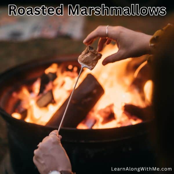 roasting marshmallows is a classic camping snack