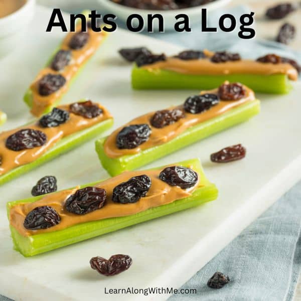 Ants on a log make a great camping snack