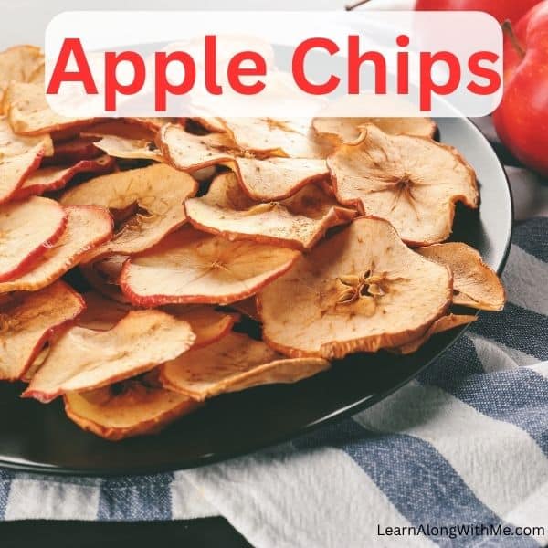 Apple chips make a good camping snack