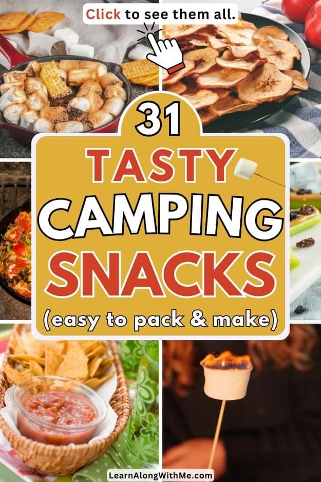 tasty camping snacks pinterest pin
